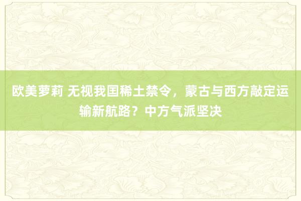 欧美萝莉 无视我囯稀土禁令，蒙古与西方敲定运输新航路？中方气派坚决