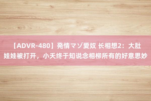 【ADVR-480】発情マゾ愛奴 长相想2：大肚娃娃被打开，小夭终于知说念相柳所有的好意思妙