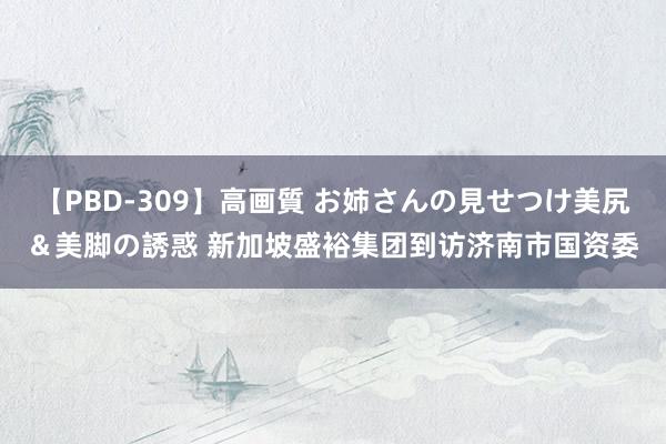 【PBD-309】高画質 お姉さんの見せつけ美尻＆美脚の誘惑 新加坡盛裕集团到访济南市国资委