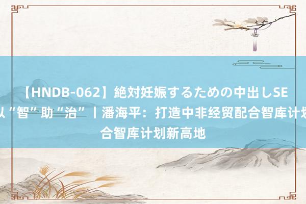 【HNDB-062】絶対妊娠するための中出しSEX！！ 以“智”助“治”丨潘海平：打造中非经贸配合智库计划新高地