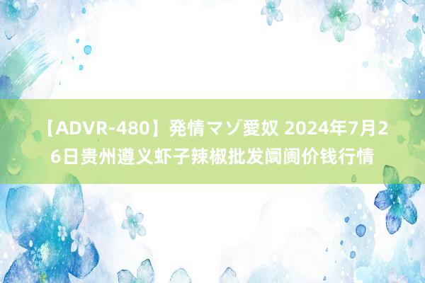 【ADVR-480】発情マゾ愛奴 2024年7月26日贵州遵义虾子辣椒批发阛阓价钱行情