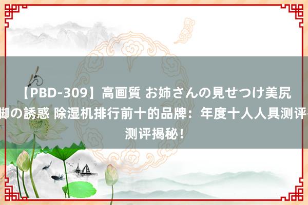 【PBD-309】高画質 お姉さんの見せつけ美尻＆美脚の誘惑 除湿机排行前十的品牌：年度十人人具测评揭秘！