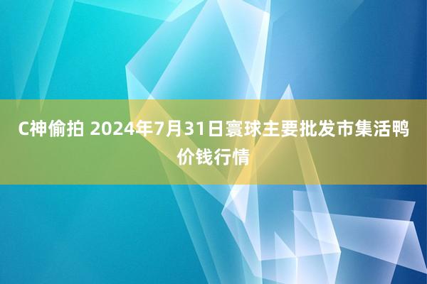 C神偷拍 2024年7月31日寰球主要批发市集活鸭价钱行情