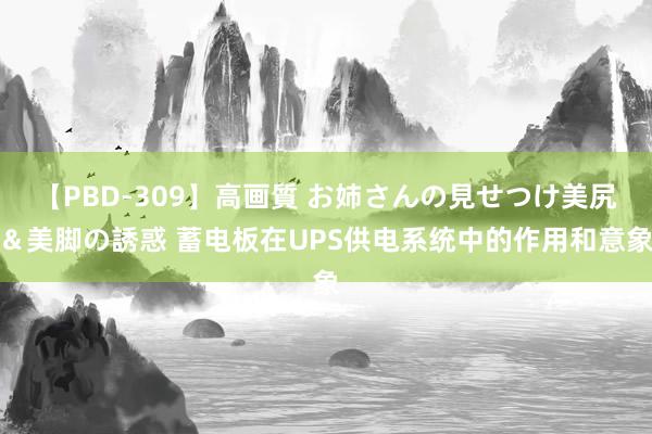 【PBD-309】高画質 お姉さんの見せつけ美尻＆美脚の誘惑 蓄电板在UPS供电系统中的作用和意象