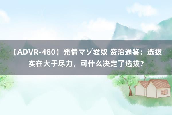 【ADVR-480】発情マゾ愛奴 资治通鉴：选拔实在大于尽力，可什么决定了选拔？