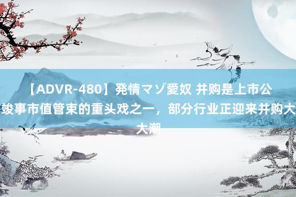 【ADVR-480】発情マゾ愛奴 并购是上市公司竣事市值管束的重头戏之一，部分行业正迎来并购大潮