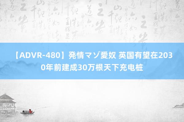 【ADVR-480】発情マゾ愛奴 英国有望在2030年前建成30万根天下充电桩