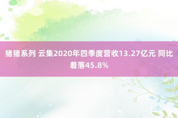 猪猪系列 云集2020年四季度营收13.27亿元 同比着落45.8%