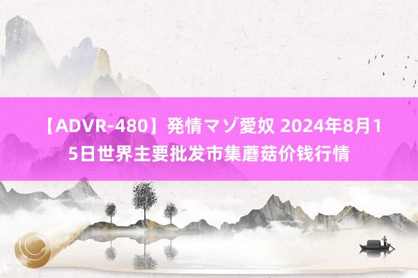 【ADVR-480】発情マゾ愛奴 2024年8月15日世界主要批发市集蘑菇价钱行情