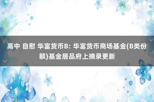 高中 自慰 华富货币B: 华富货币商场基金(B类份额)基金居品府上摘录更新