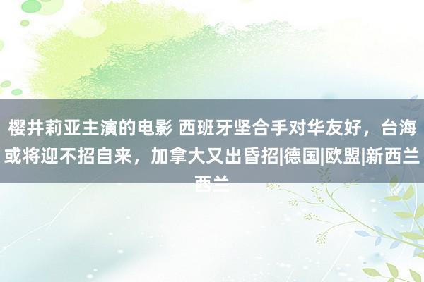 樱井莉亚主演的电影 西班牙坚合手对华友好，台海或将迎不招自来，加拿大又出昏招|德国|欧盟|新西兰