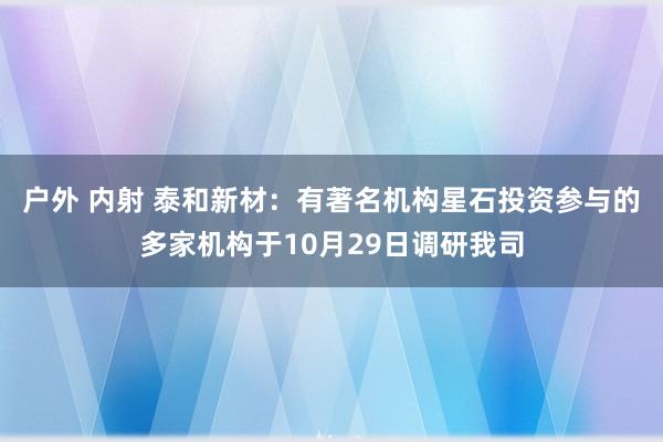 户外 内射 泰和新材：有著名机构星石投资参与的多家机构于10月29日调研我司